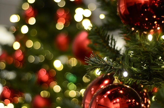 39935-xmas-6-2022-webp