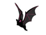 bat.webp