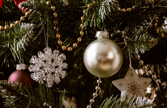 397-xmas-1-2022-jpg
