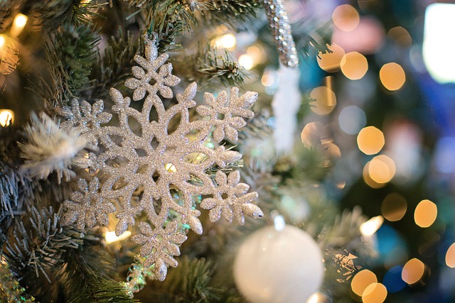 401-xmas-3-jpg